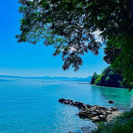 Appartement Le Leman Excénevex Esterno foto
