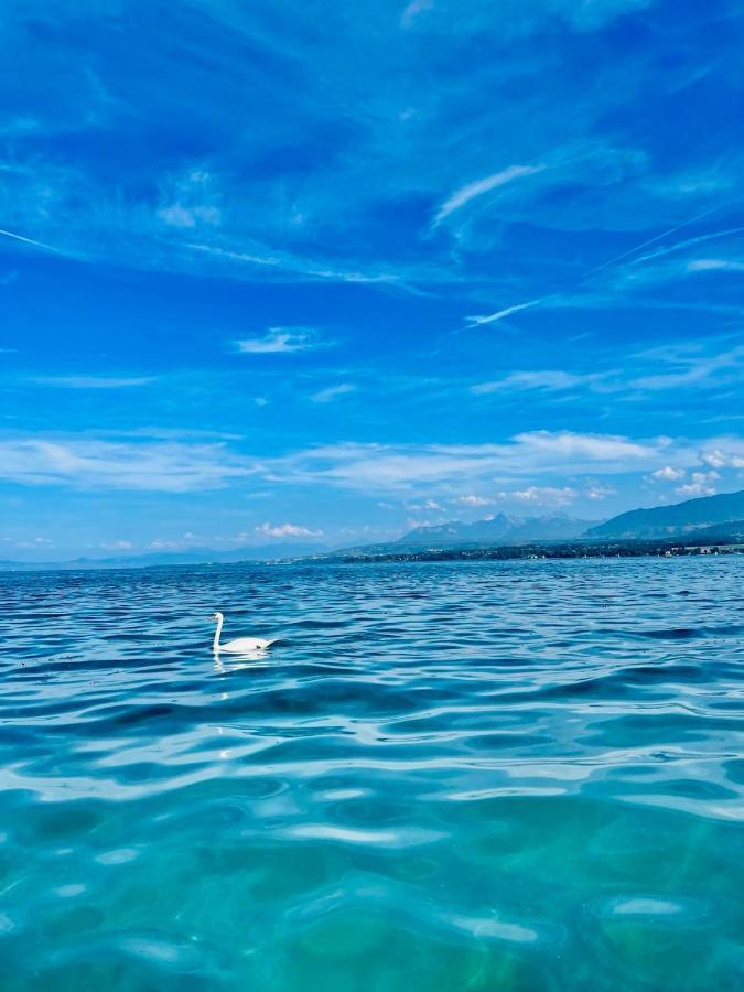 Appartement Le Leman Excénevex Esterno foto