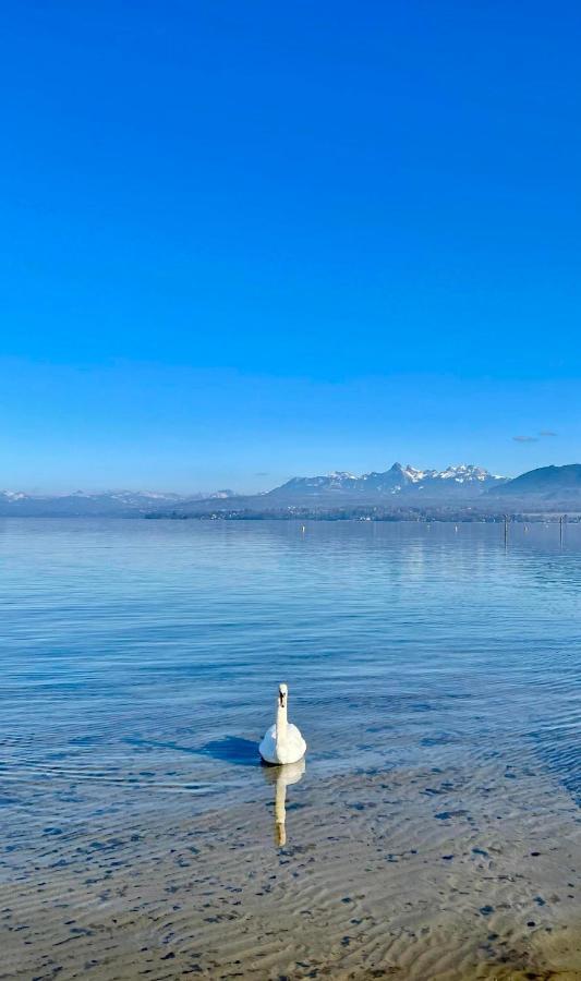 Appartement Le Leman Excénevex Esterno foto